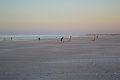 Sunset (08)